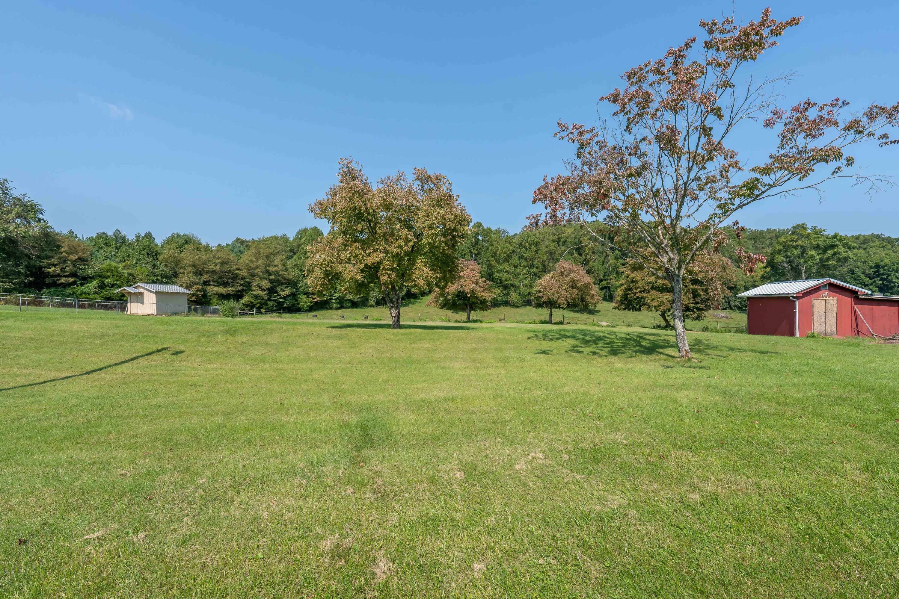 868 Smalling Road Johnson City, TN 37601 - Photo 51 of 63 868 Smalling Rd (45 of 71)