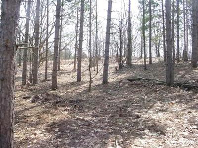 165th Avenue Reed City, MI 49677 - Photo 1 of 13 Primary Photo