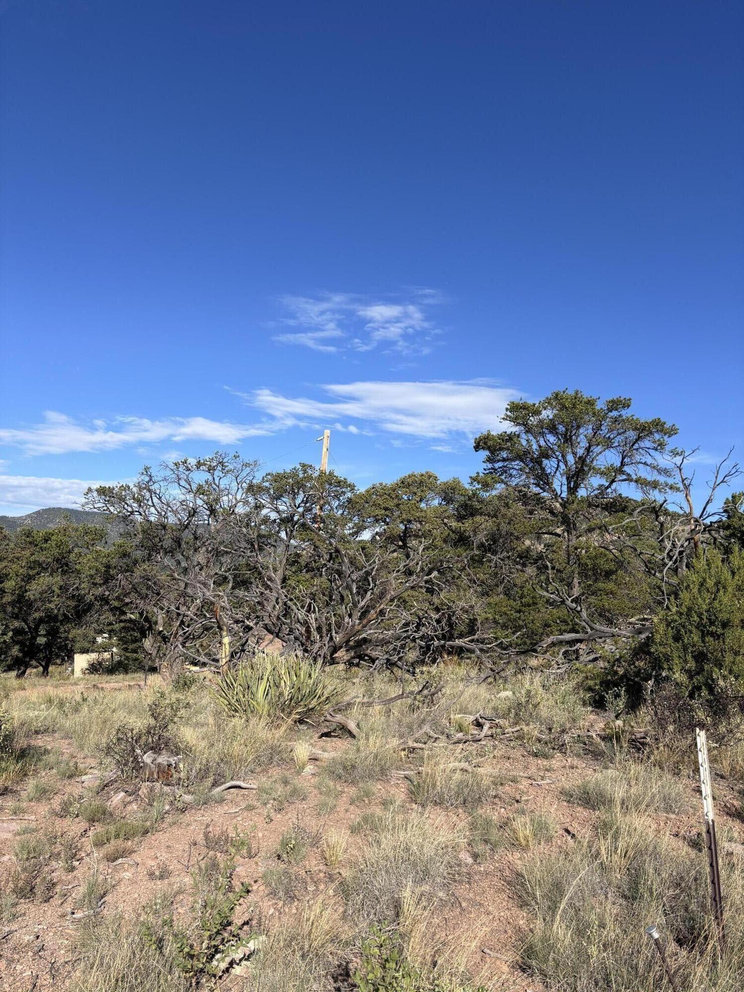34 Lookout Circle Datil, NM 87821 - Photo 9 of 12 Gallery Image 9
