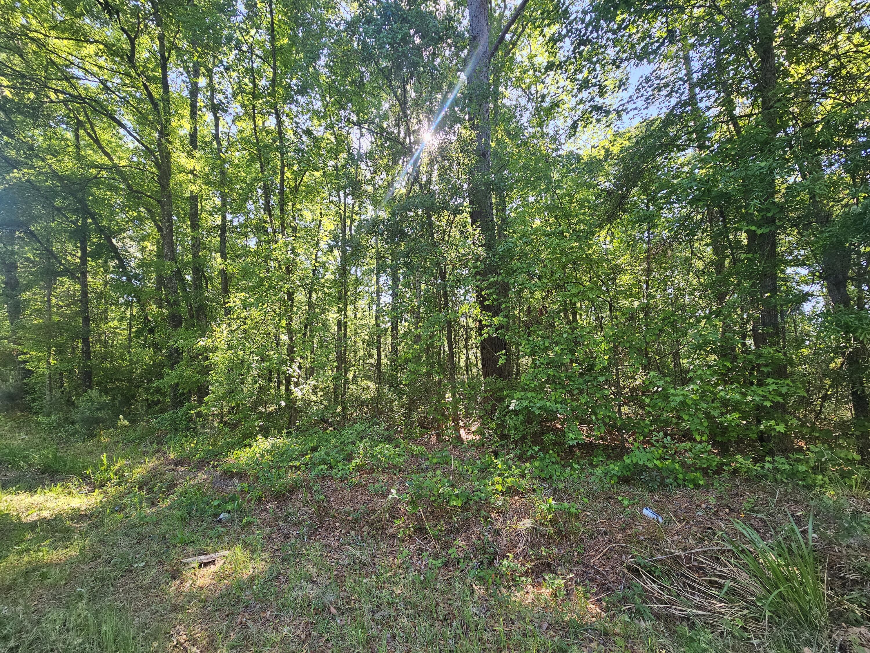 0 Two 2 Church Road Bowman, SC 29018 - Photo 3 of 4 20260420_165857