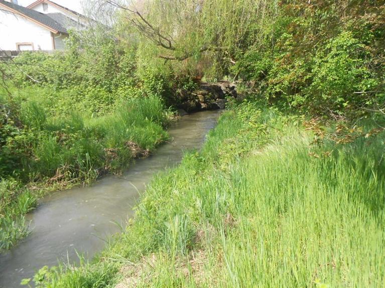 2875 Lone Pine Road Medford, OR 97504 - Photo 7 of 8 view of creek through property