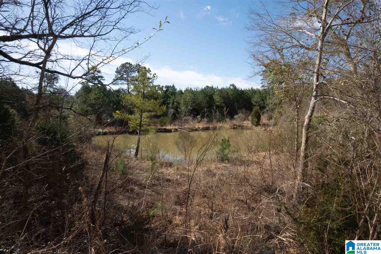 6451 Cromer Circle Leeds, AL 35094 - Photo 15 of 34