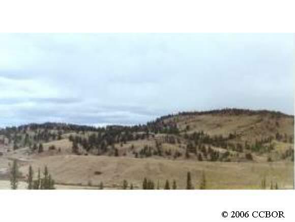 844 McMurry Road Hartsel, CO 80449 - Photo 1 of 1 Gallery Image 1