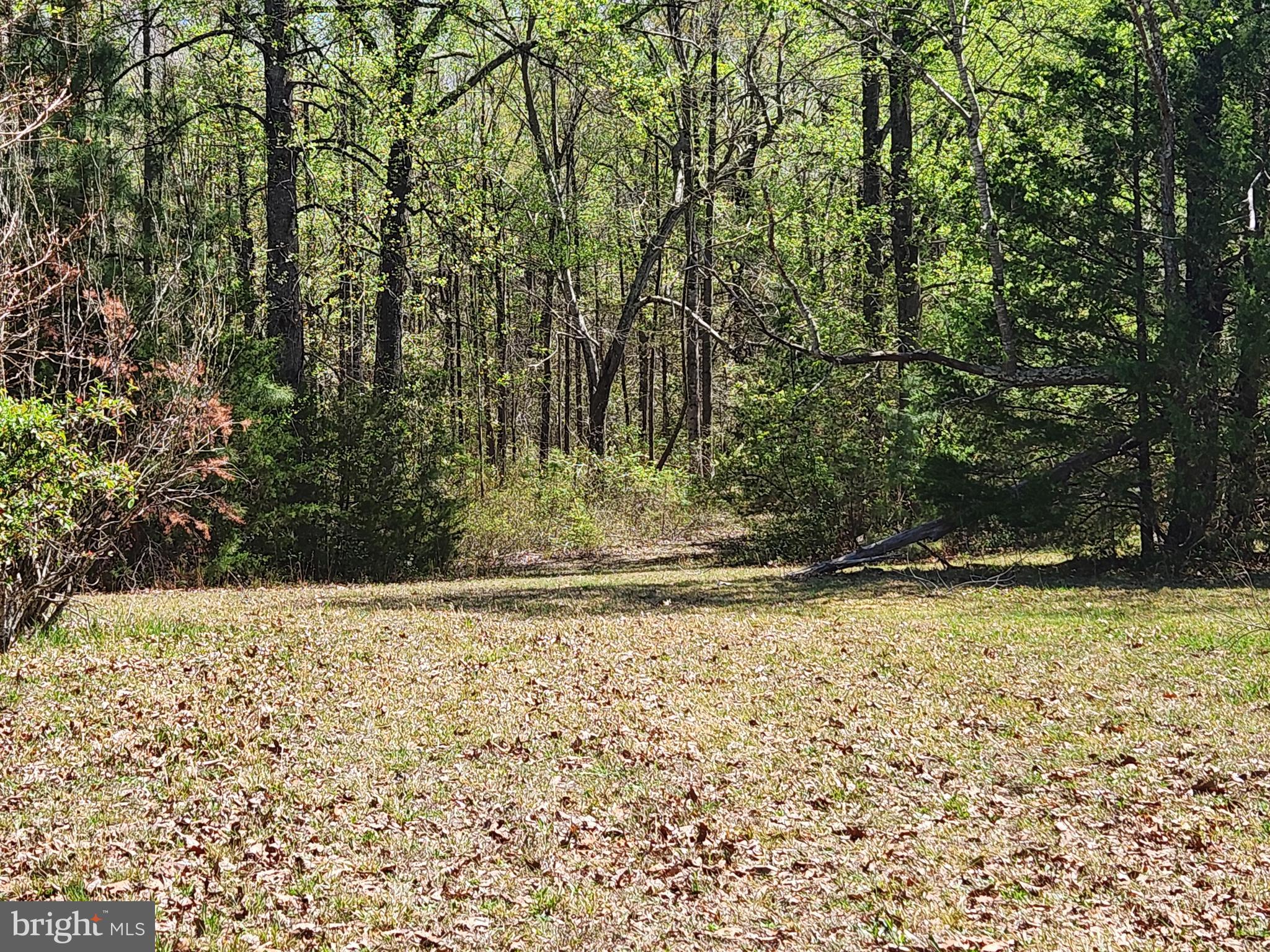 Over 6 acres!!