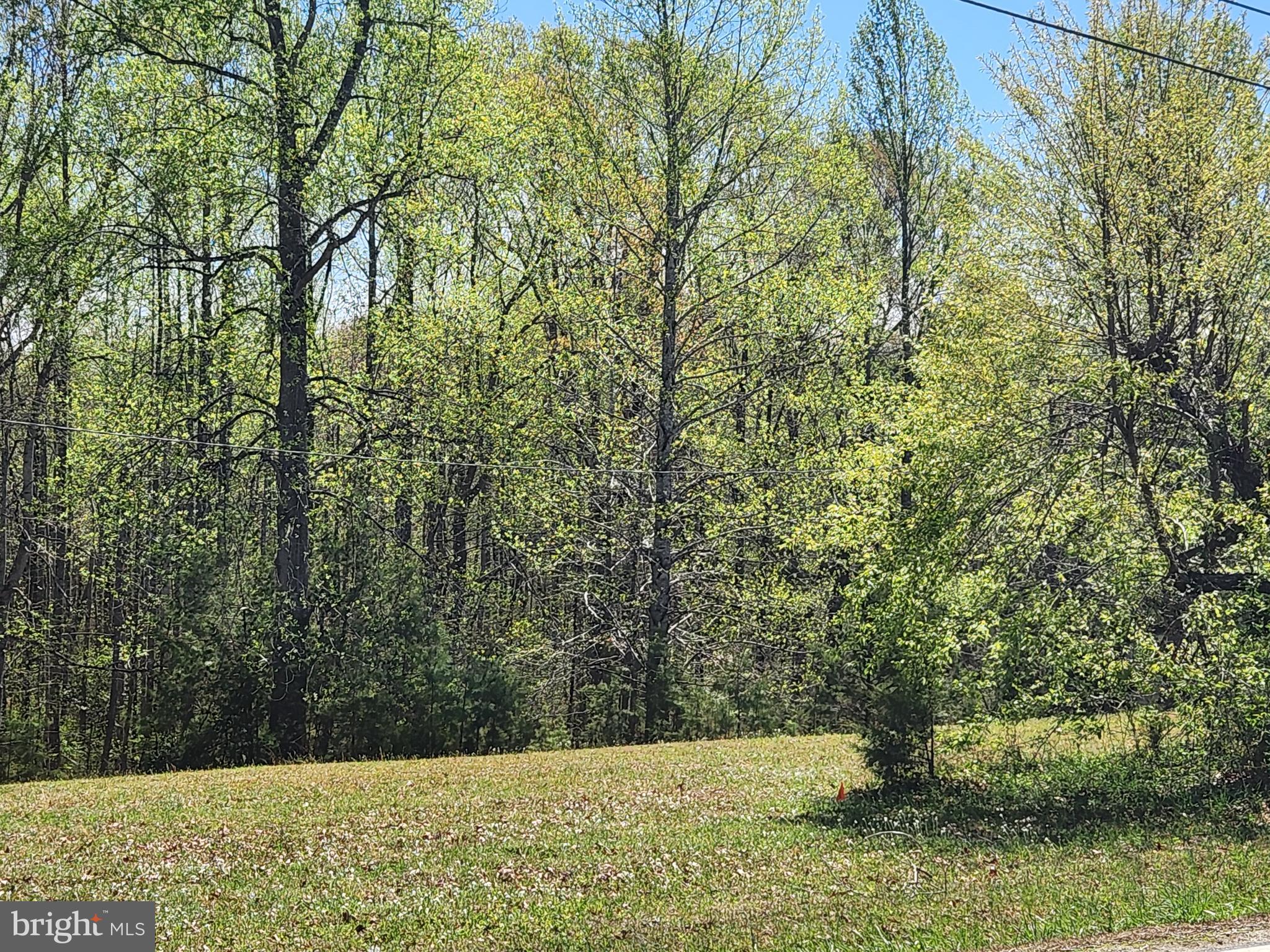 3618 Johnson Road Mineral, VA 23117 - Photo 14 of 16 Build your dream home