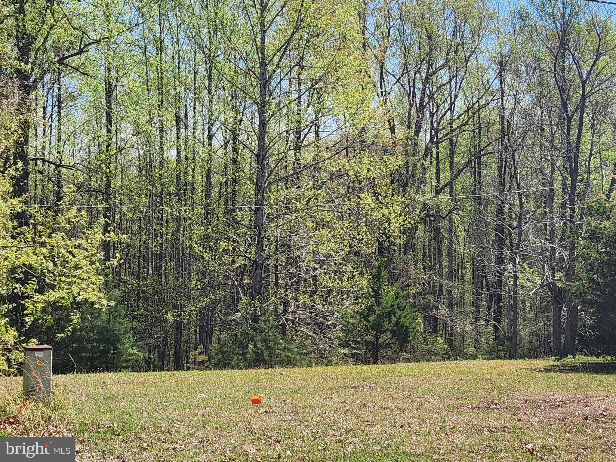 3618 Johnson Road Mineral, VA 23117 - Photo 15 of 16 Lots of outdoor space