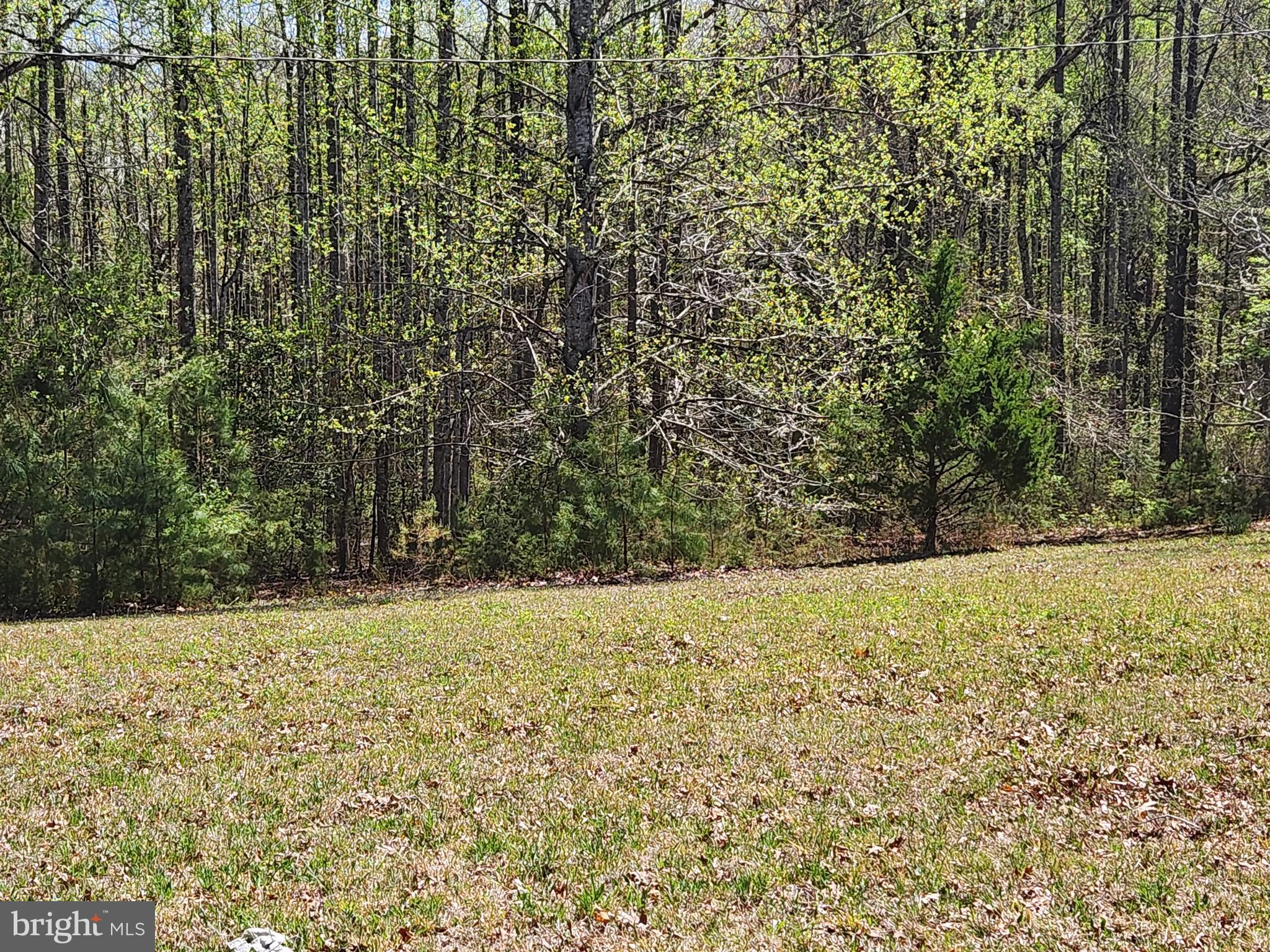 3618 Johnson Road Mineral, VA 23117 - Photo 16 of 16 Green grass
