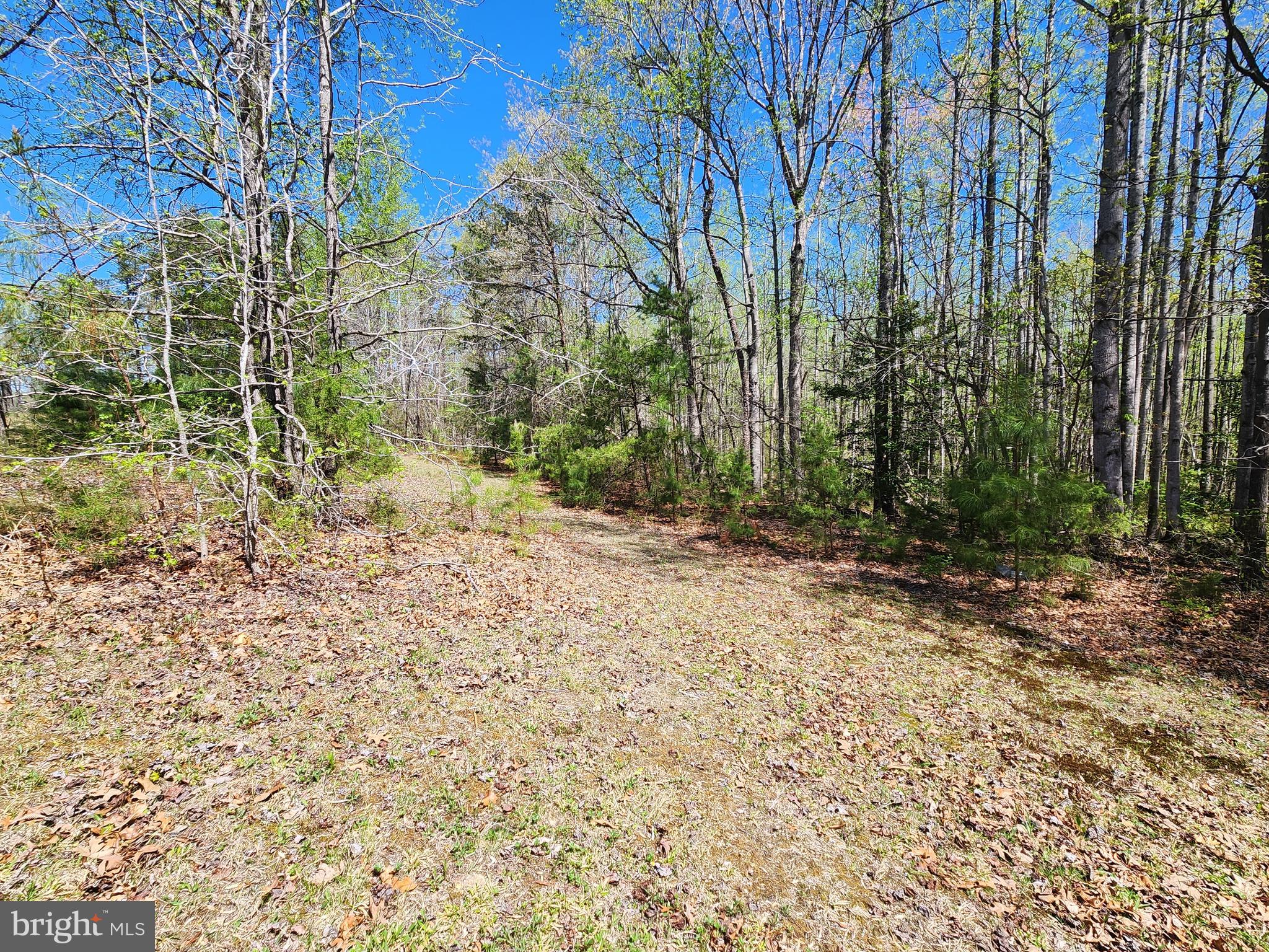 Walking trails throughout