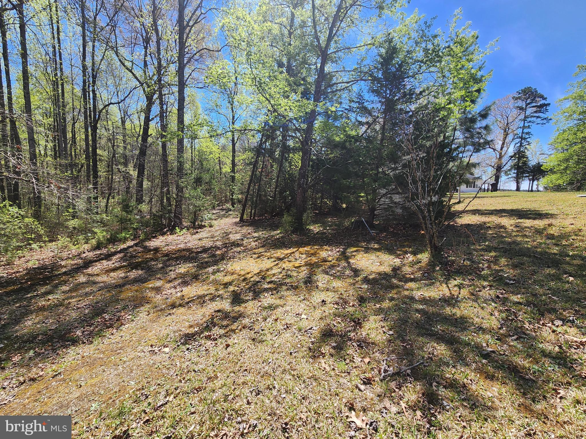 Close to Lake Anna