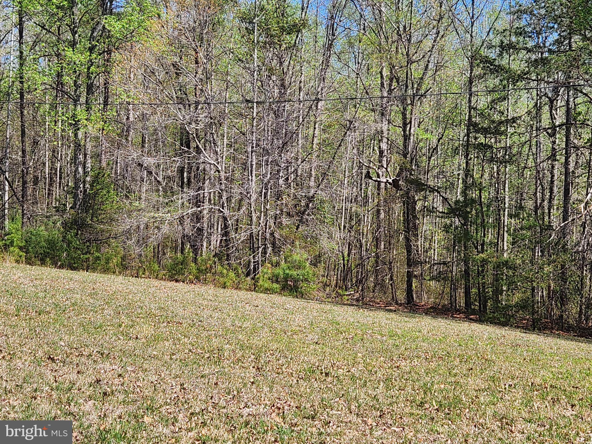 3618 Johnson Road Mineral, VA 23117 - Photo 9 of 16 Gentle sloping back yard