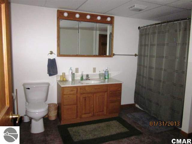 7825 East Mcbrides Road Edmore, MI 48829 - Photo 15 of 17 1773715-14.JPG