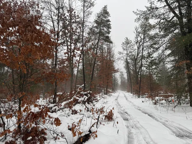 $184,900 | 7423 South Nelson Road, Chase, MI 49623