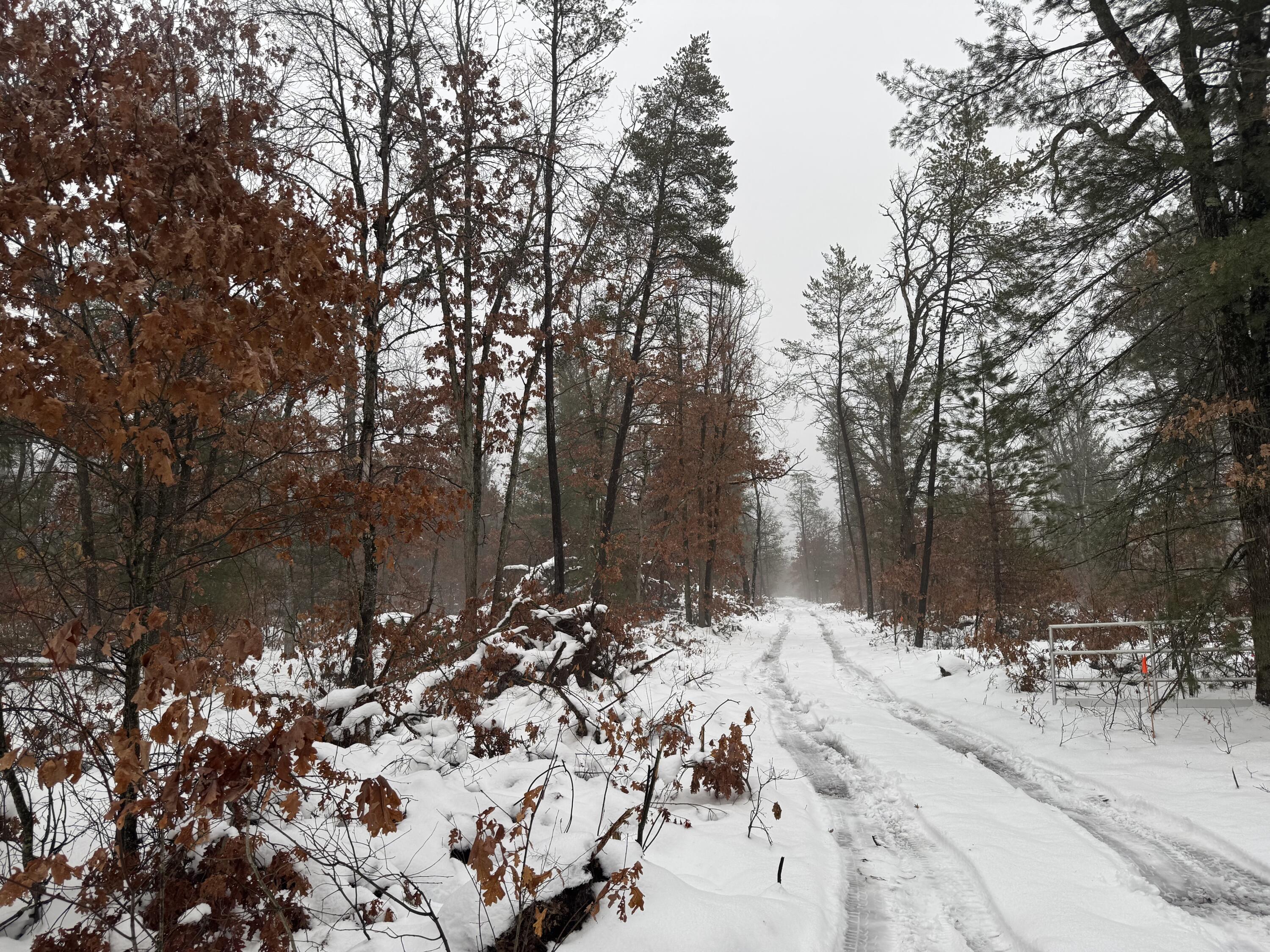 7423 South Nelson Road Chase, MI 49623 - Photo 13 of 20 IMG_6850