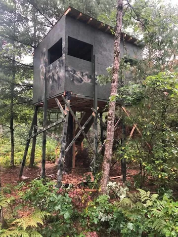 $184,900 | 7423 South Nelson Road, Chase, MI 49623