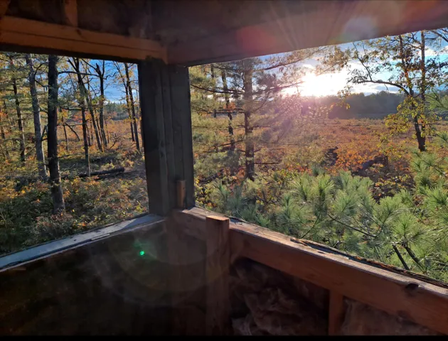 $184,900 | 7423 South Nelson Road, Chase, MI 49623