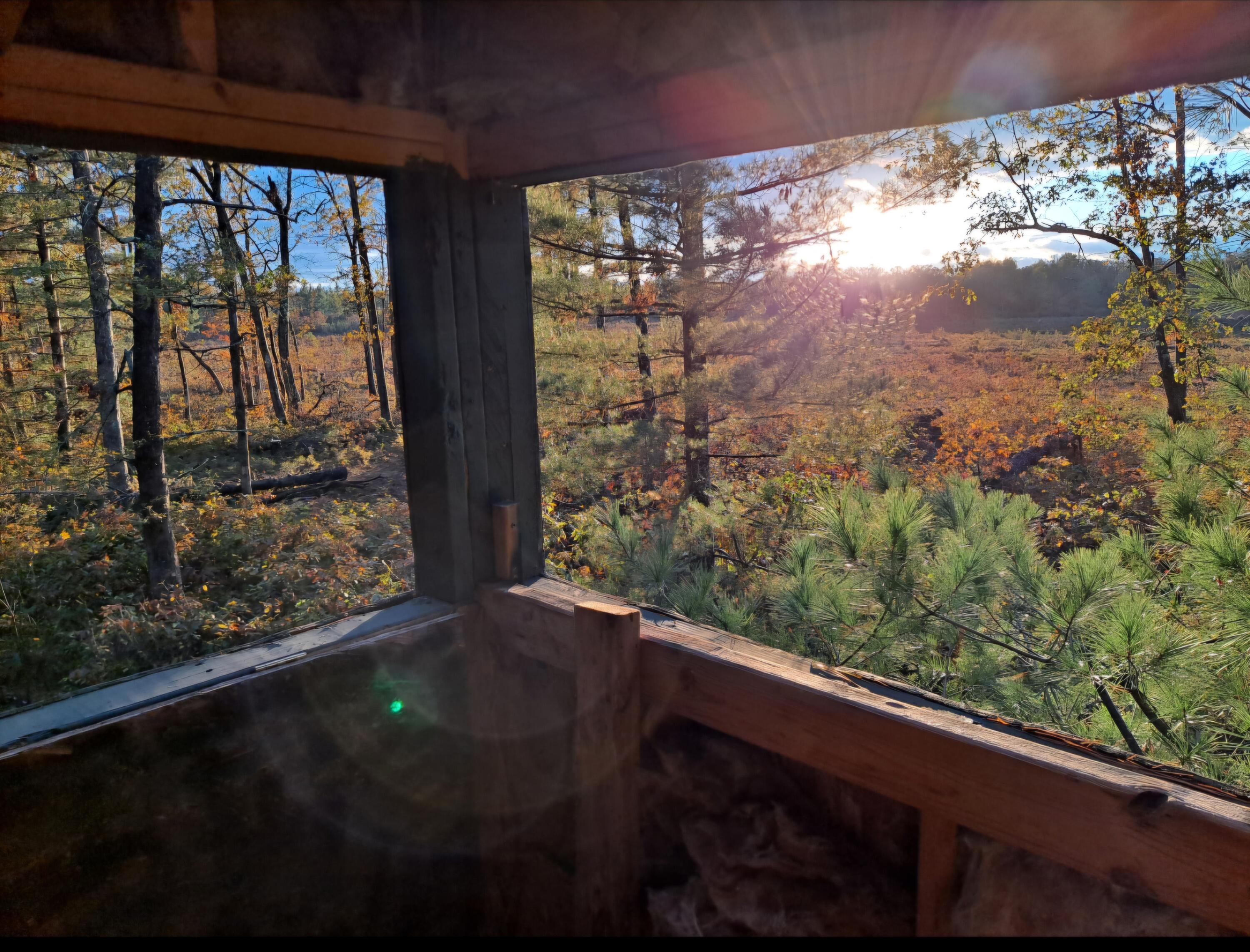 7423 South Nelson Road Chase, MI 49623 - Photo 20 of 20 Photo Jake Blind Stand View JPG