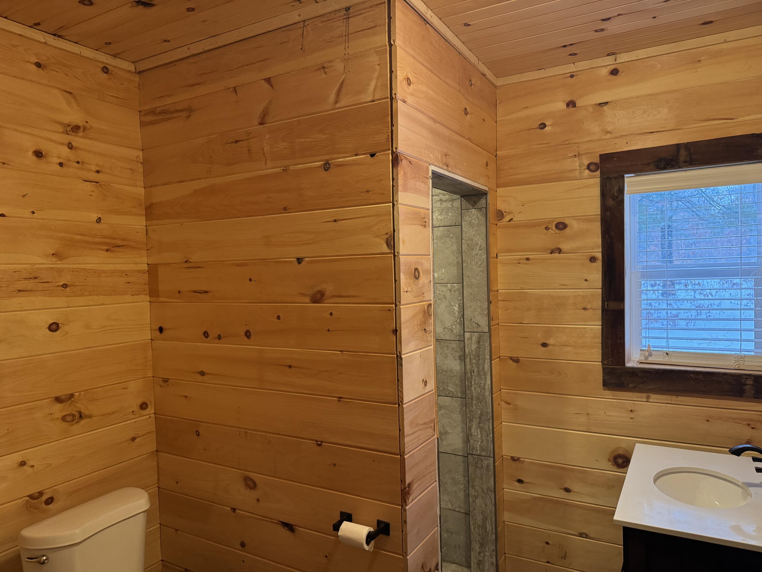 7423 South Nelson Road Chase, MI 49623 - Photo 9 of 20 IMG_6856