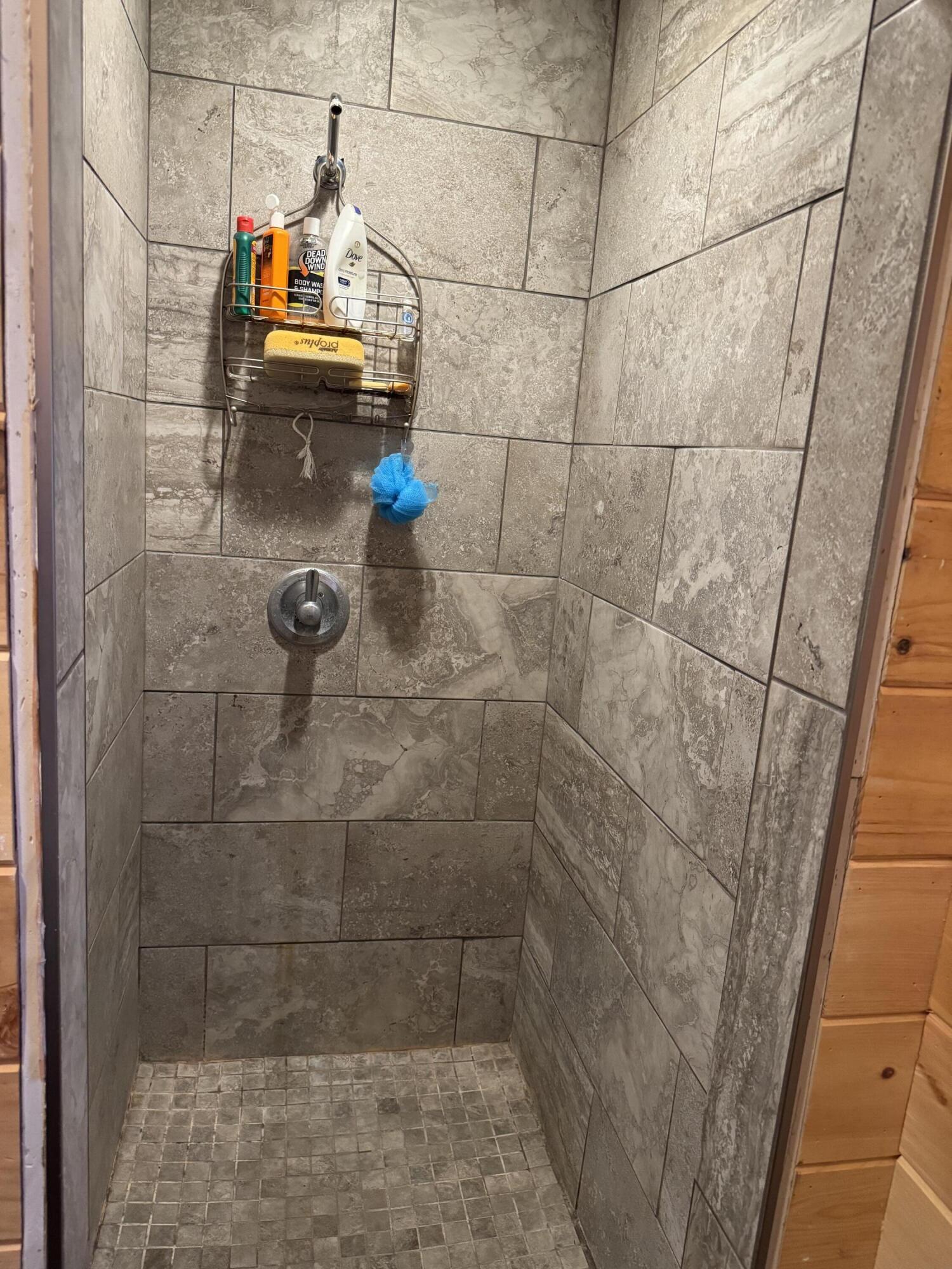 7423 South Nelson Road Chase, MI 49623 - Photo 10 of 20 IMG_6857