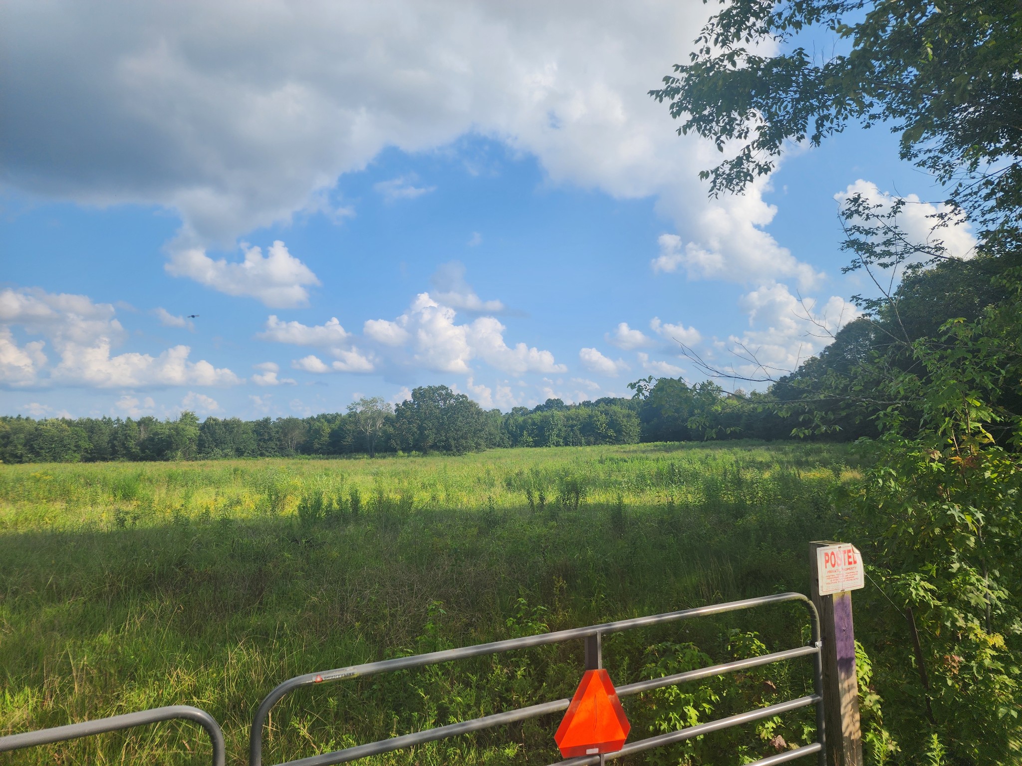 0 Mt Zion Road Big Sandy, TN 38221 - Photo 1 of 6