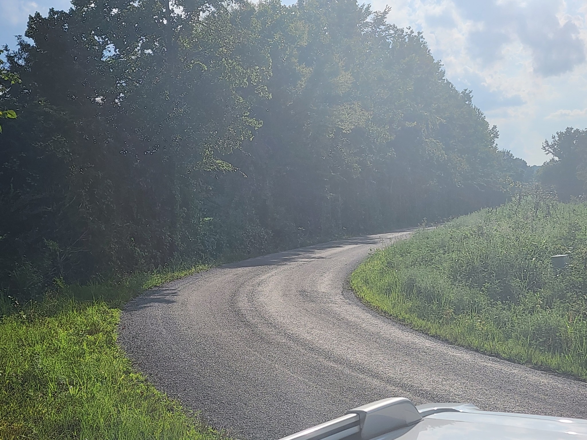 0 Mt Zion Road Big Sandy, TN 38221 - Photo 5 of 6