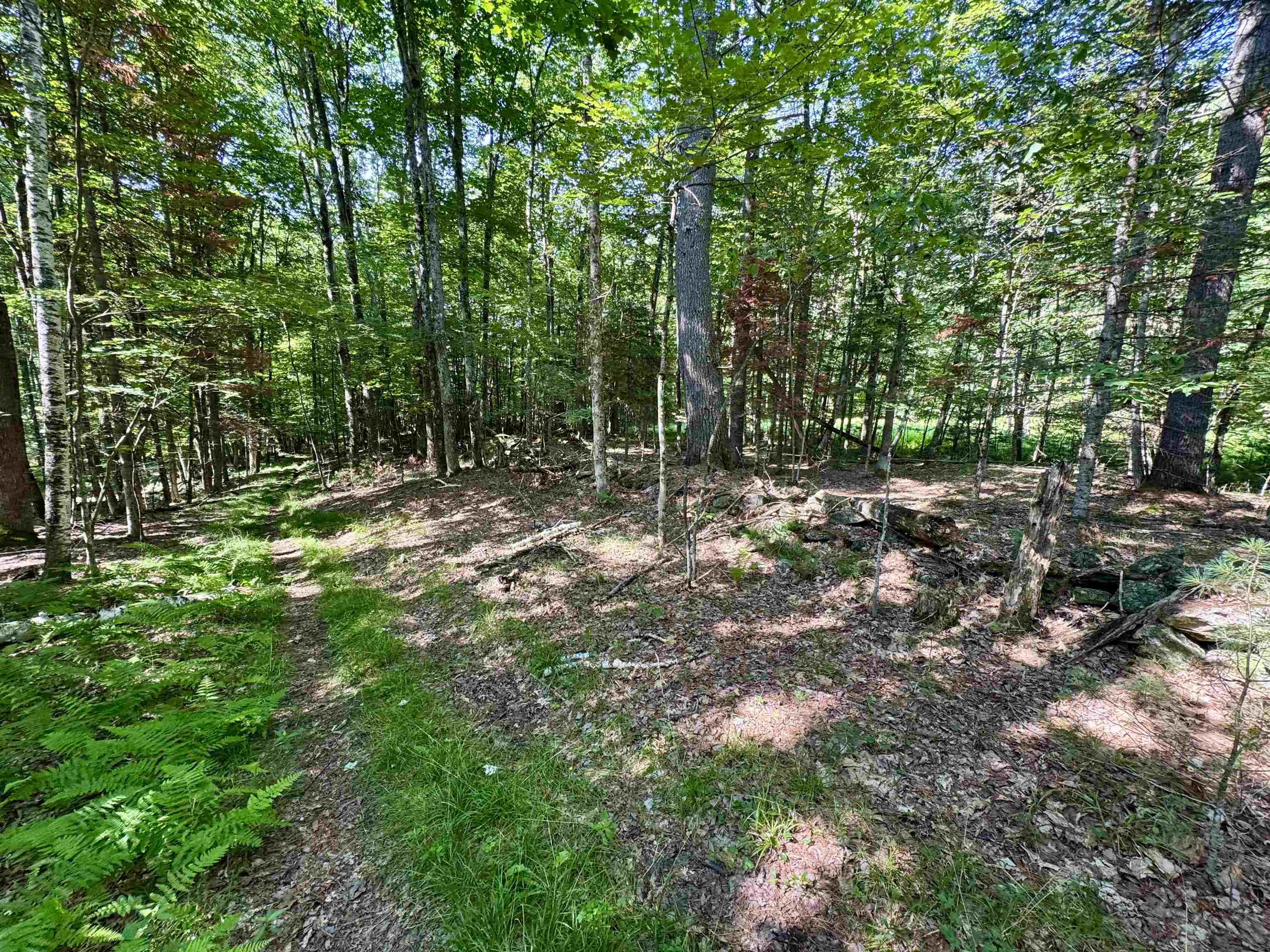 0 Mountain Road Bath, NH 03740 - Photo 3 of 10