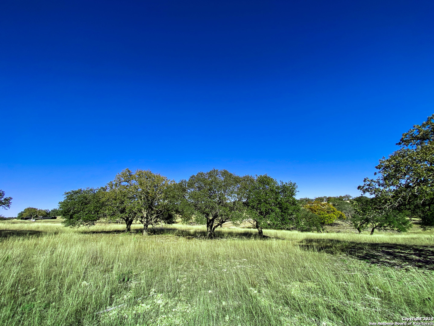 a view of grassy field with trees