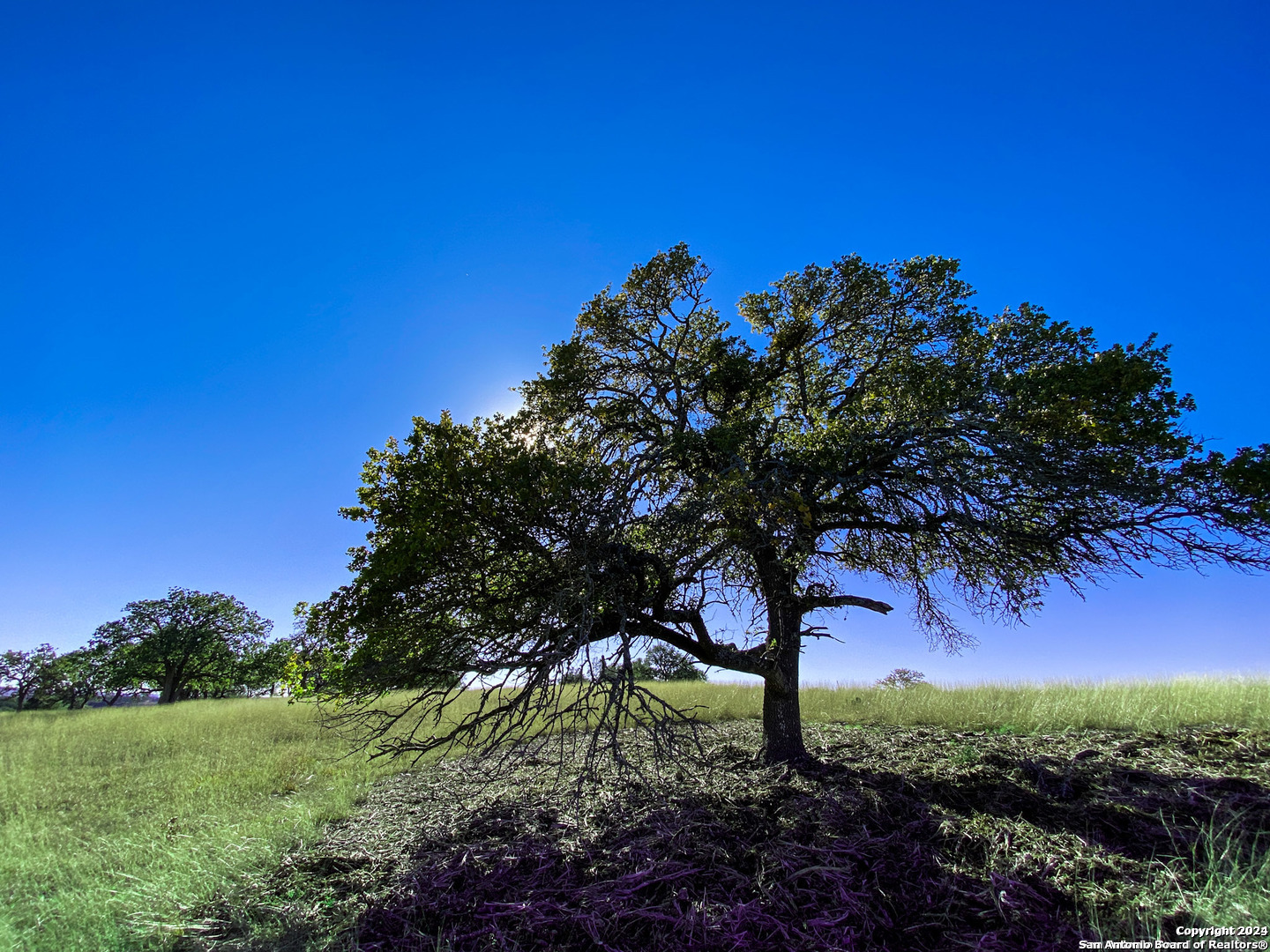 Lot 155 Loma Vista Ranch Kerrville, TX 78028 - Photo 12 of 25 a view of a bench in a garden