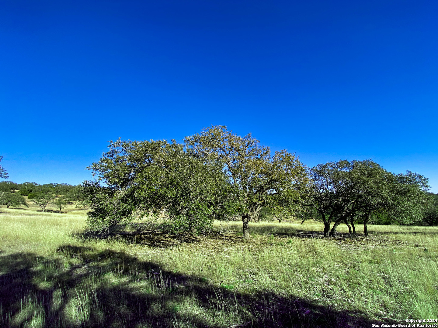 Lot 155 Loma Vista Ranch Kerrville, TX 78028 - Photo 14 of 25 a view of a lush green space