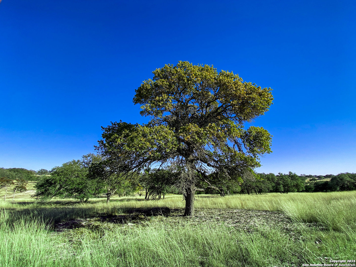 Lot 155 Loma Vista Ranch Kerrville, TX 78028 - Photo 15 of 25 a view of a lake