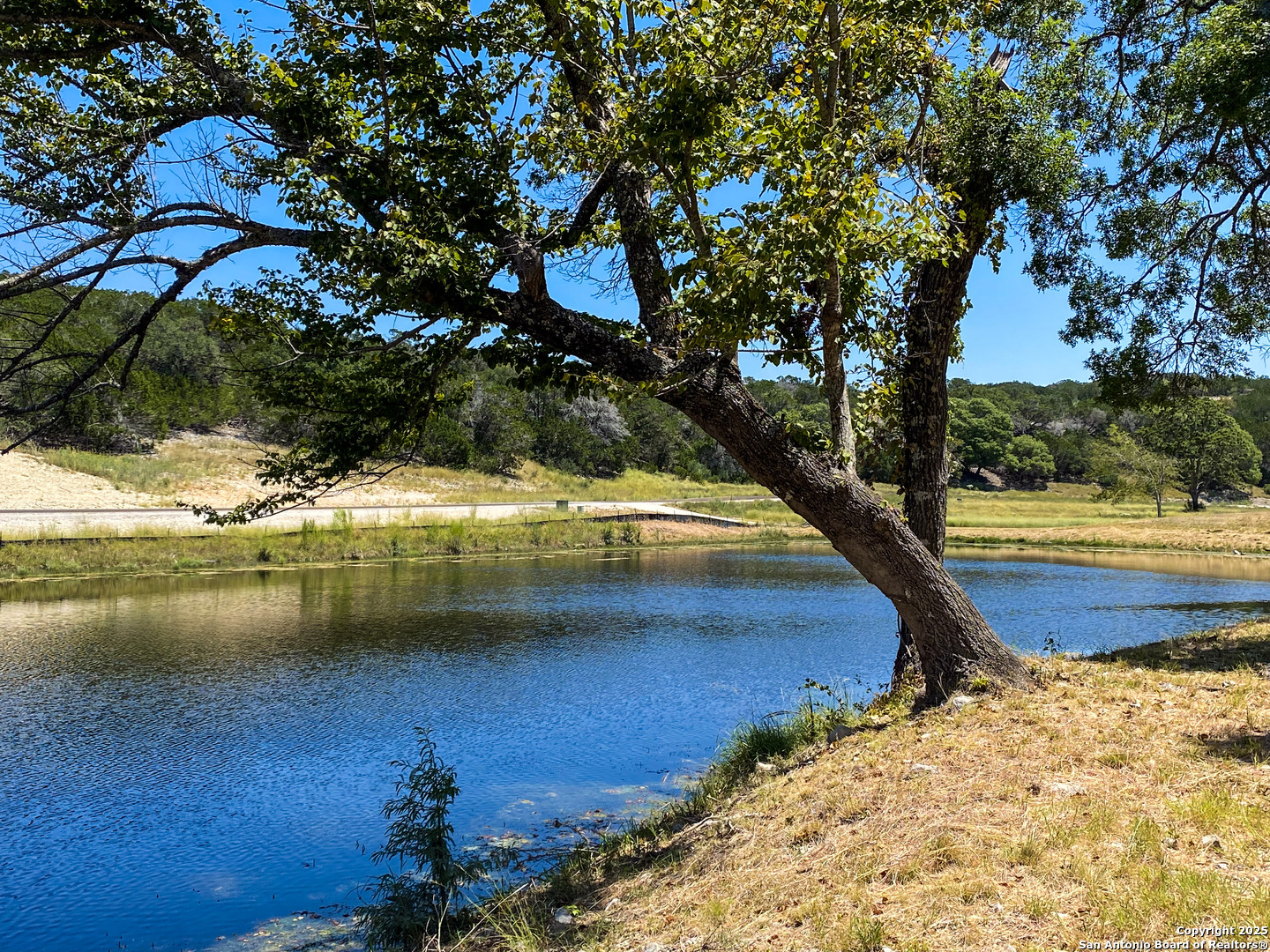 Lot 155 Loma Vista Ranch Kerrville, TX 78028 - Photo 23 of 25 a view of swimming pool with a yard