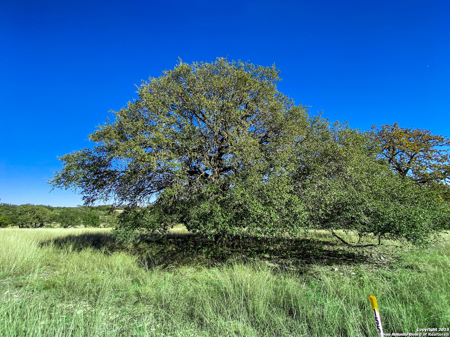 Lot 155 Loma Vista Ranch Kerrville, TX 78028 - Photo 3 of 25 a view of a garden