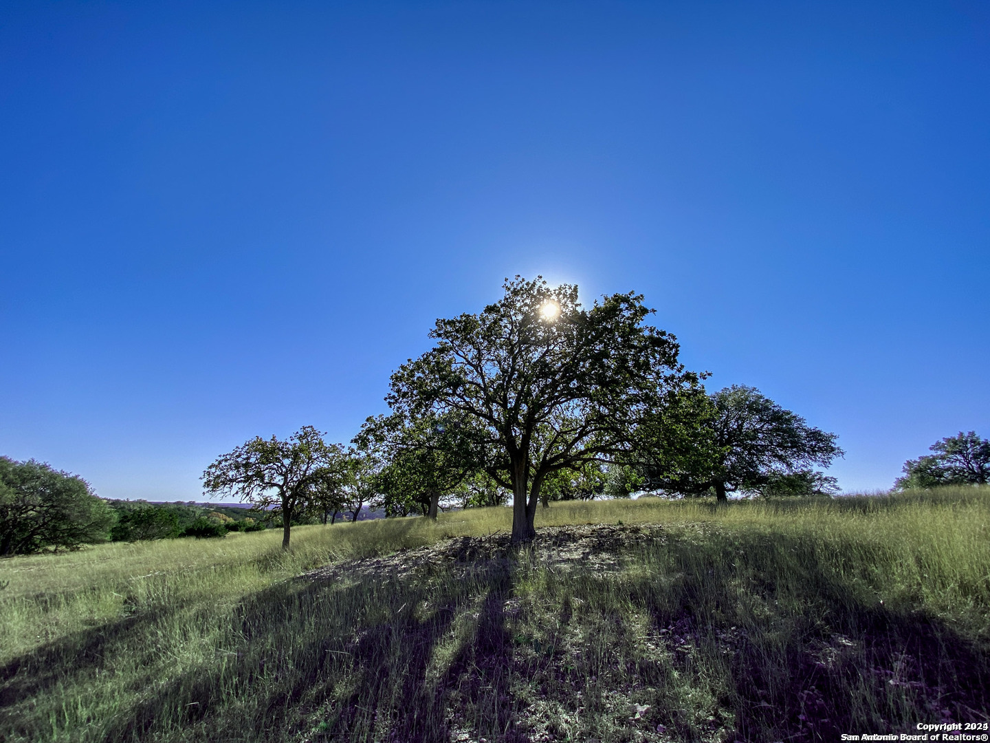 Lot 155 Loma Vista Ranch Kerrville, TX 78028 - Photo 9 of 25 a view of a lush green space