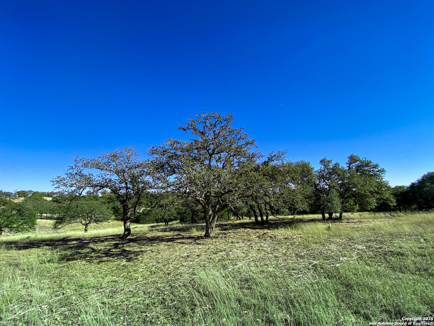Lot 155 Loma Vista Ranch Kerrville, TX 78028 - Photo 10 of 25 a view of a field with a tree