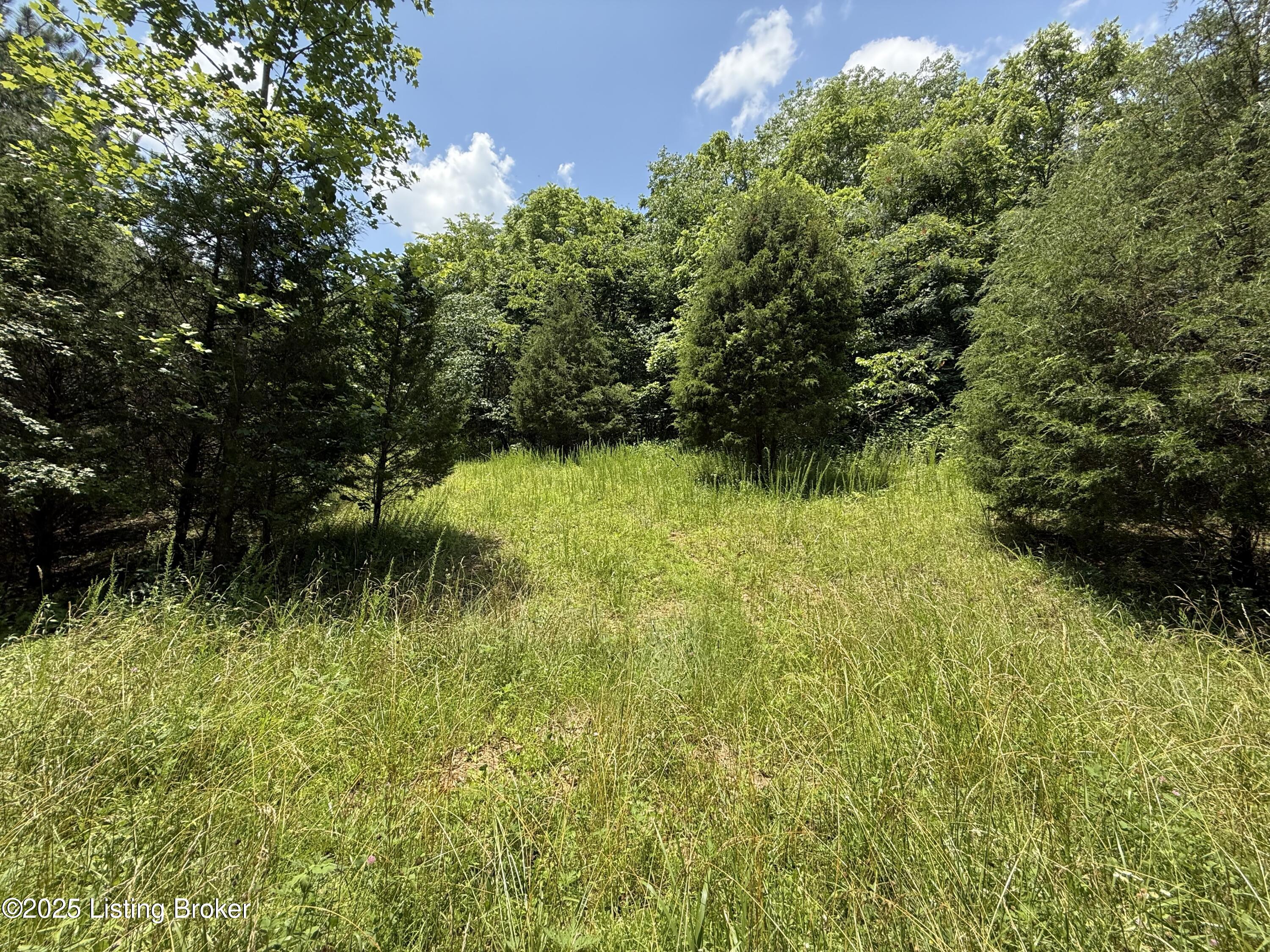 0 East Marks Ridge Road Harned, KY 40144 - Photo 25 of 32 IMG_1229