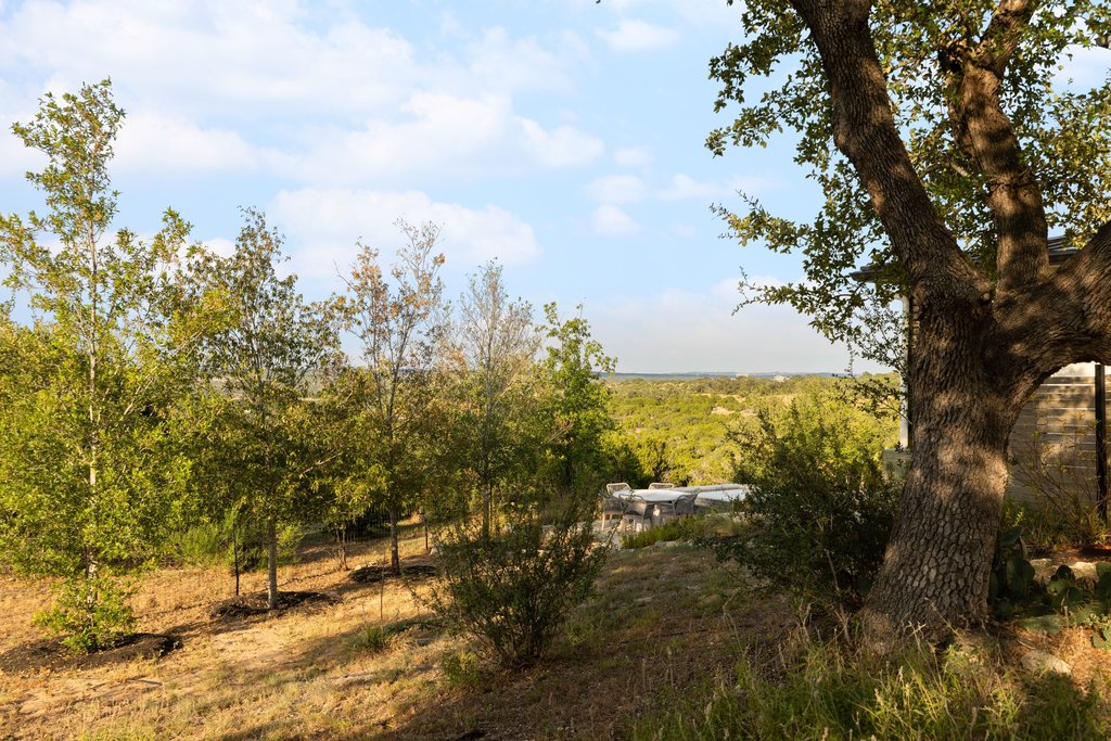 32045 Mirela Ann Road Dripping Springs, TX 78620 - Photo 25 of 30 Mature trees frame a rolling landscape view under open skies.