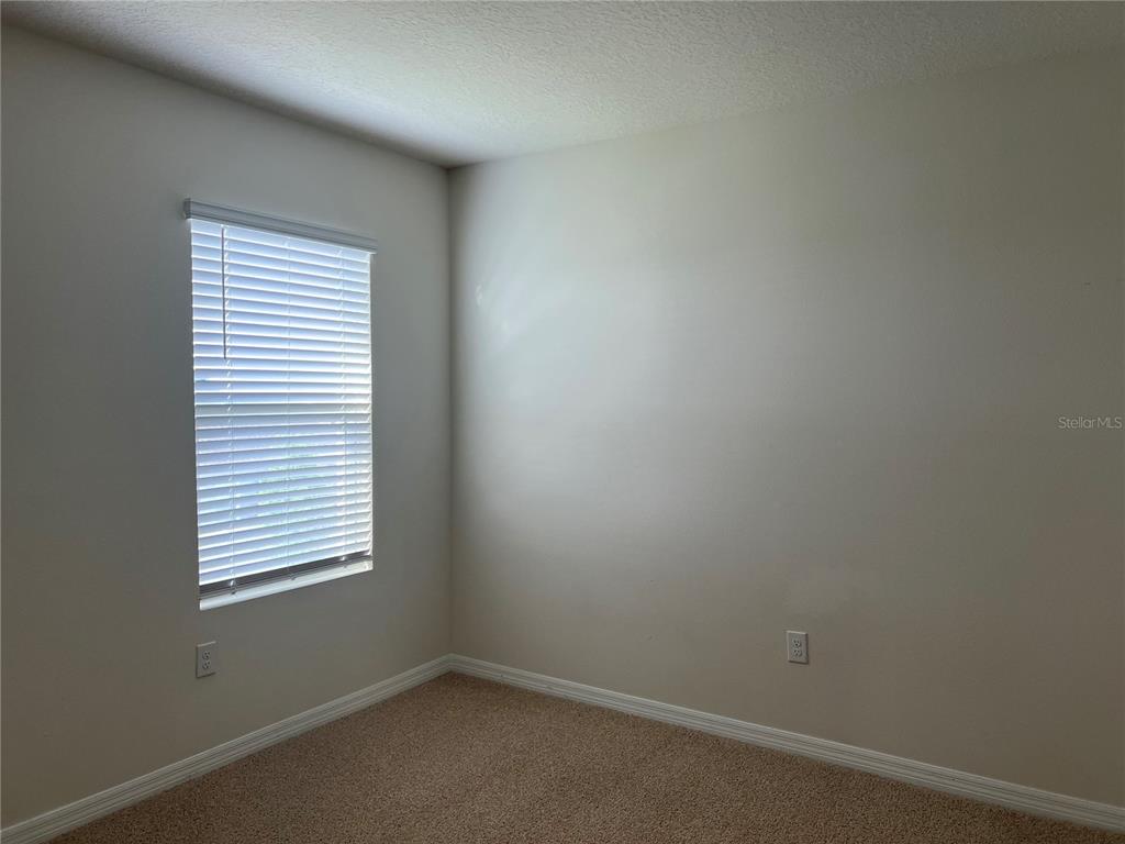 3009 Tansy Street Tavares, FL 32778 - Photo 17 of 37