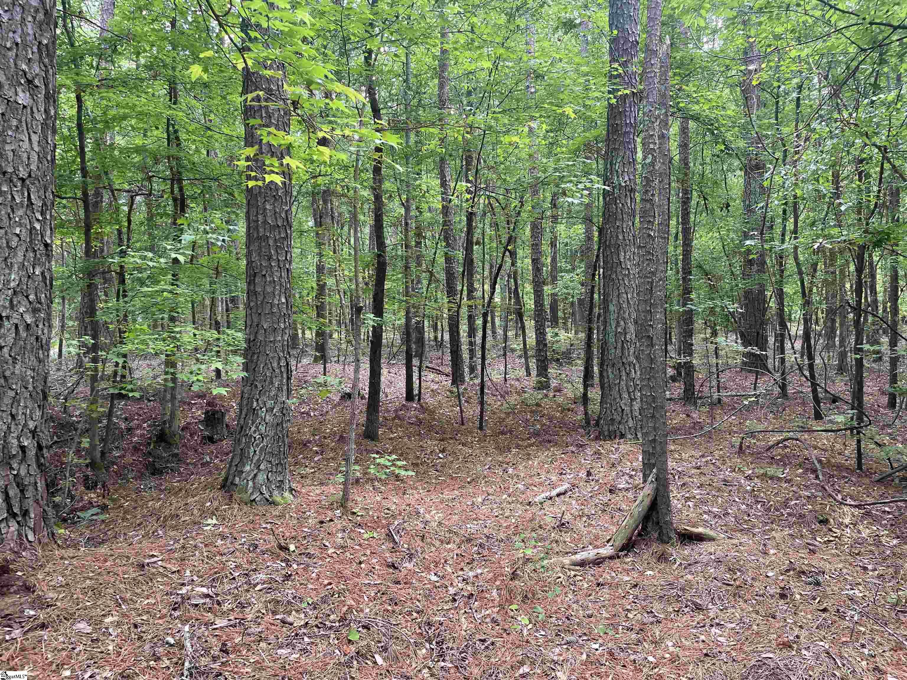 0 Clatworthy Road, Unit LOT 5 Honea Path, SC 29654 - Photo 2 of 19