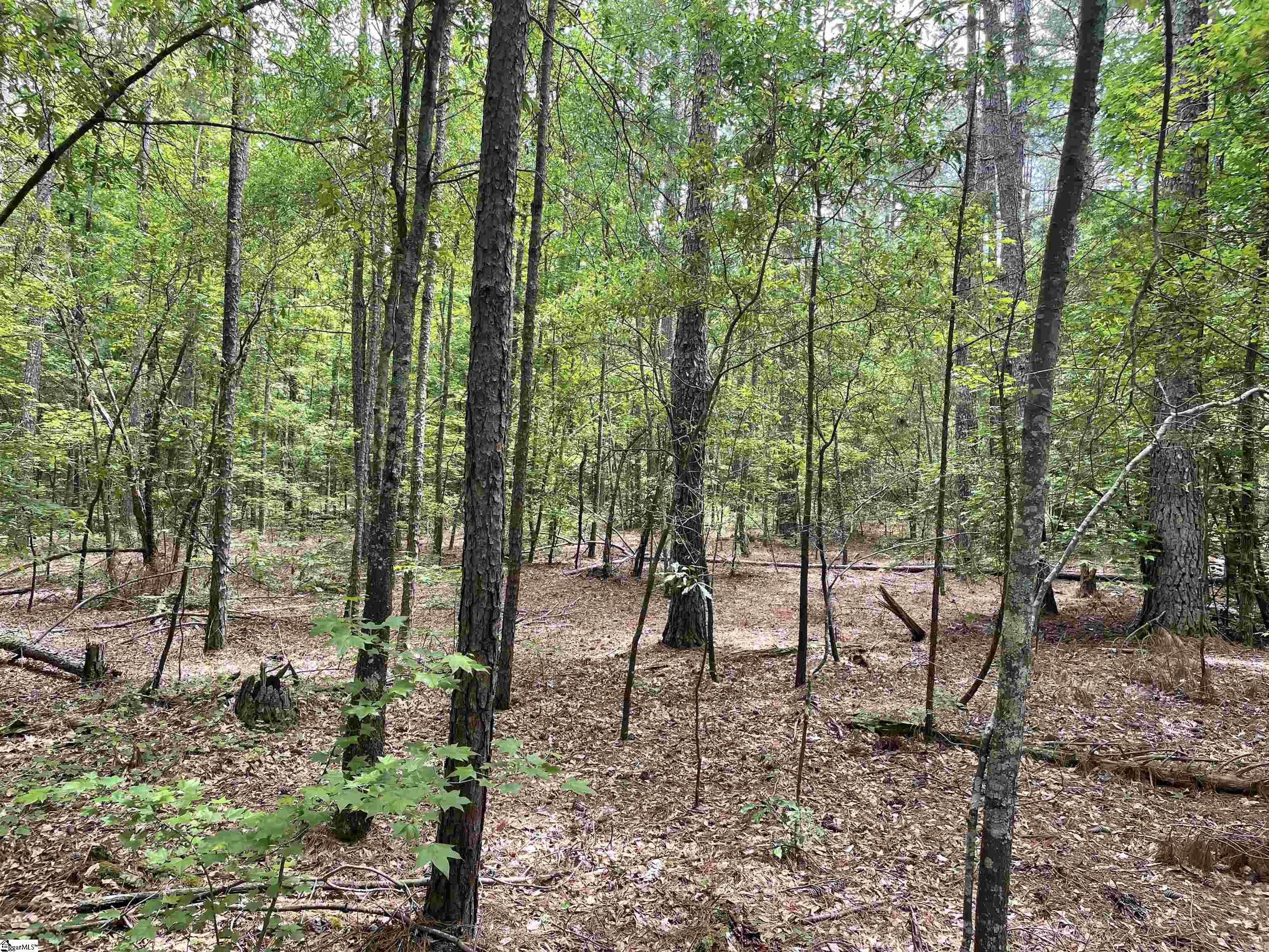 0 Clatworthy Road, Unit LOT 5 Honea Path, SC 29654 - Photo 3 of 19