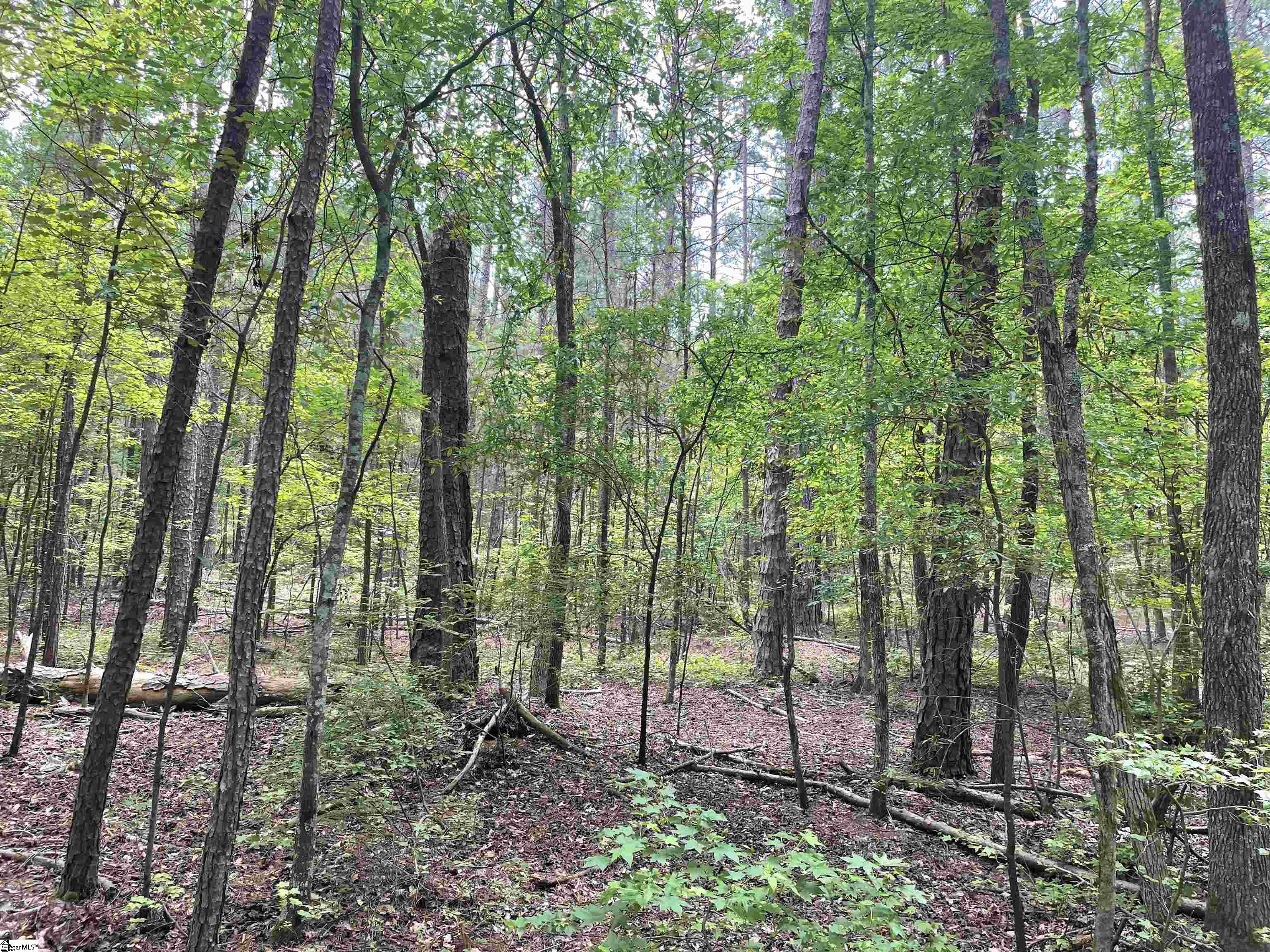 0 Clatworthy Road, Unit LOT 5 Honea Path, SC 29654 - Photo 6 of 19