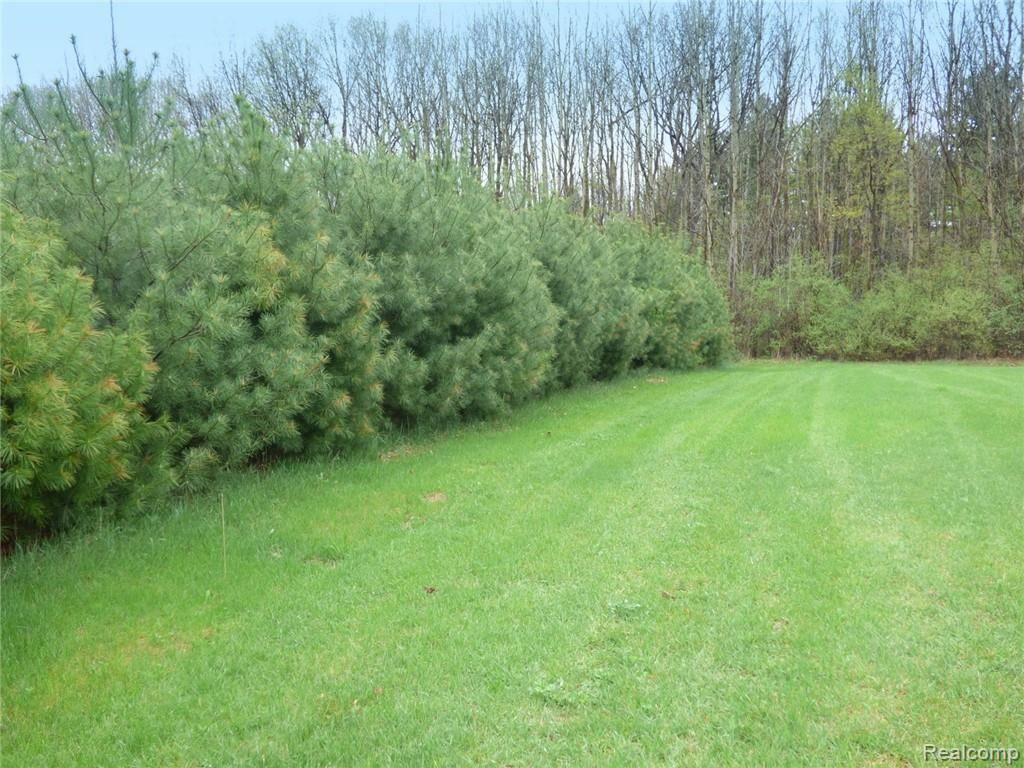 0 Rosehill Pinckney, MI 48169 - Photo 8 of 8