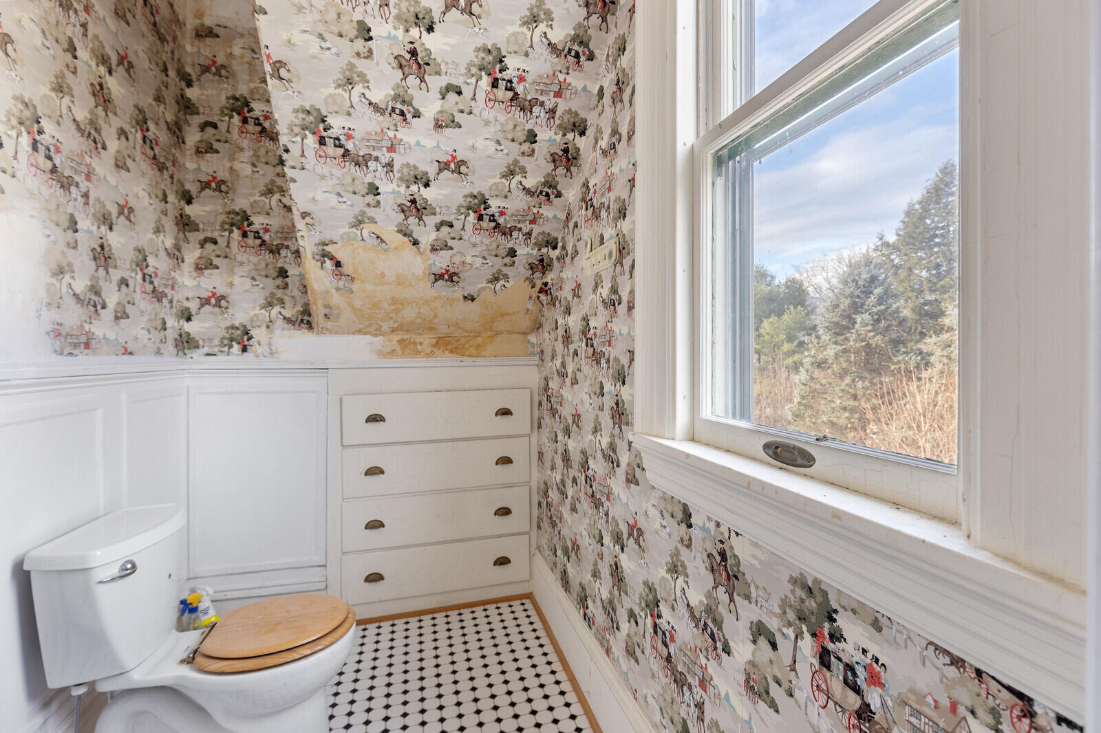 405 Pine Street Rumford, ME 04276 - Photo 48 of 63 124_BP5A0792_mls