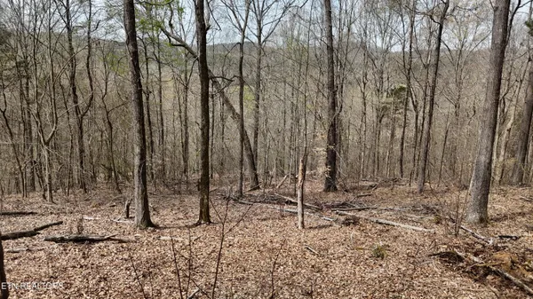 $130,000 | 0 Geren Subdivision Lane, Decatur, TN 37322