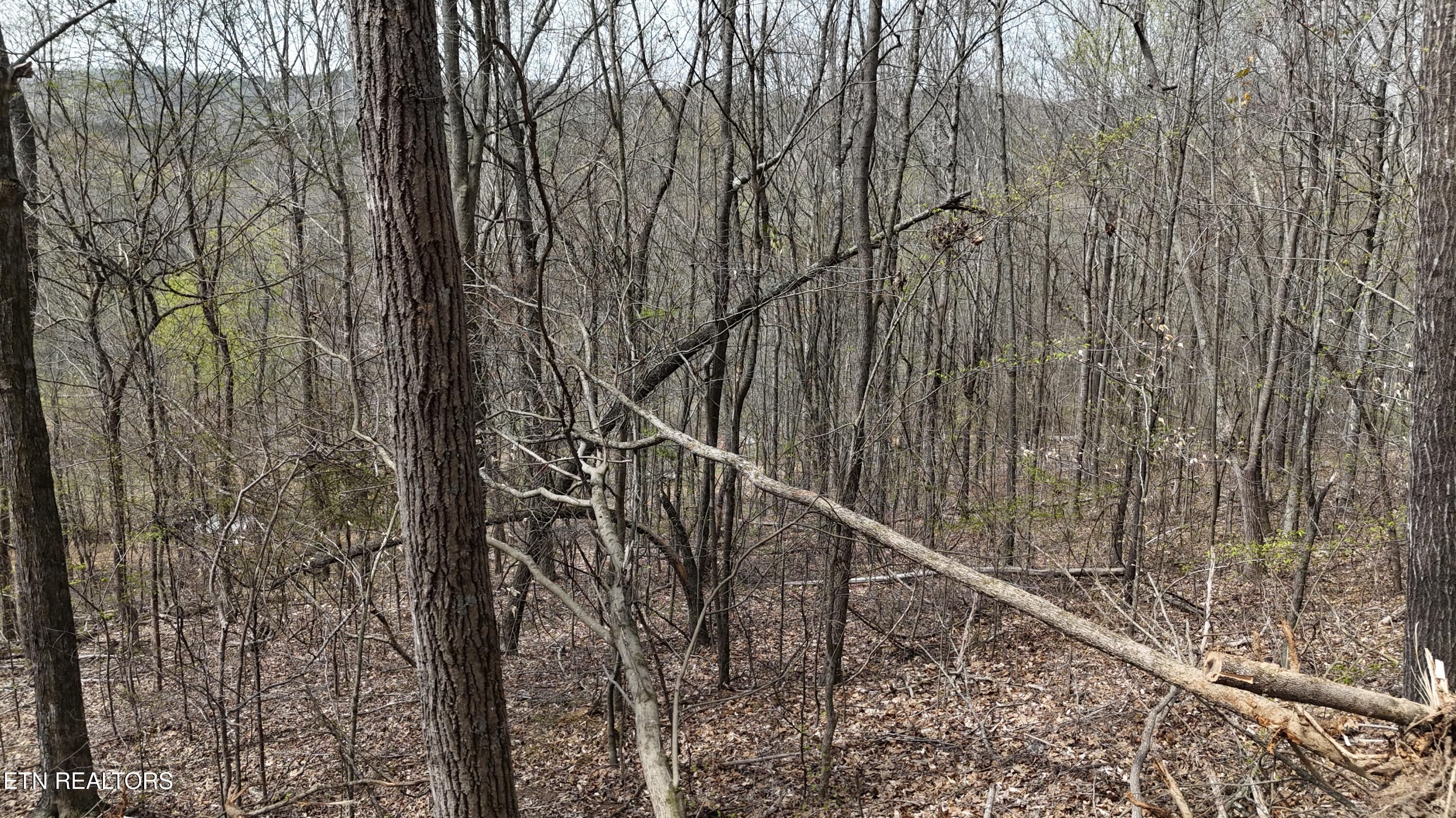 0 Geren Subdivision Lane Decatur, TN 37322 - Photo 11 of 24 dji_fly_20260325_134052_0259_17745556517