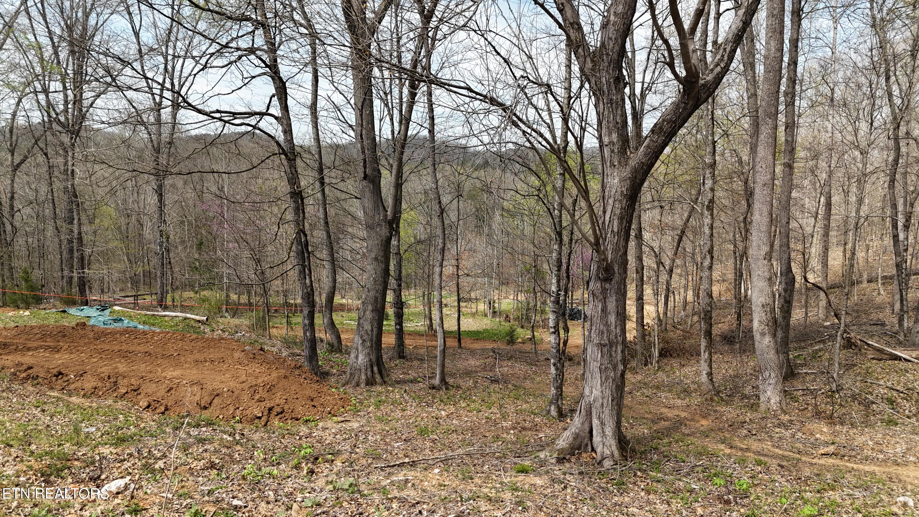 0 Geren Subdivision Lane Decatur, TN 37322 - Photo 12 of 24 dji_fly_20260325_134014_0257_17745556550