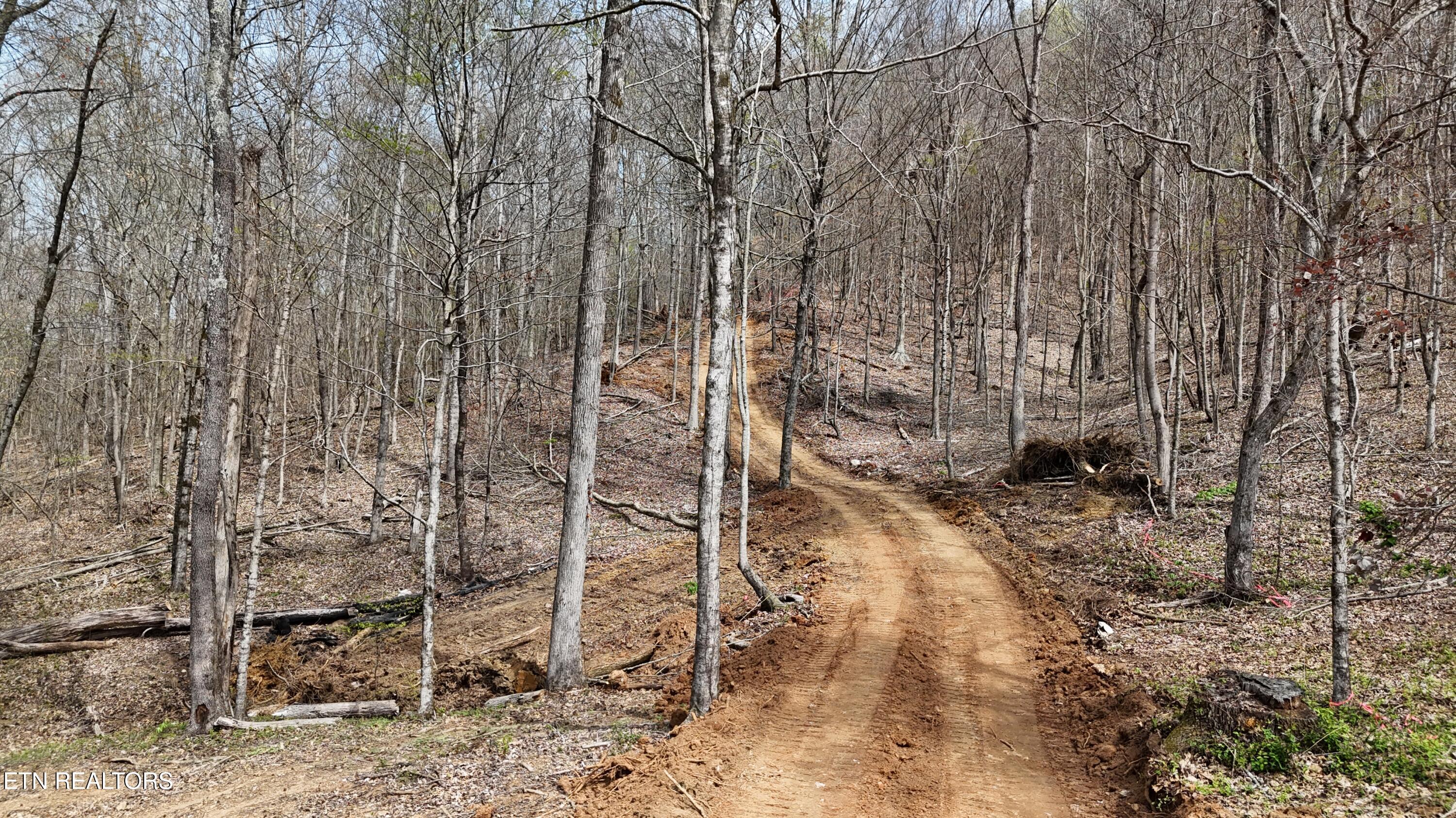 0 Geren Subdivision Lane Decatur, TN 37322 - Photo 15 of 24 dji_fly_20260325_134008_0256_17745556568