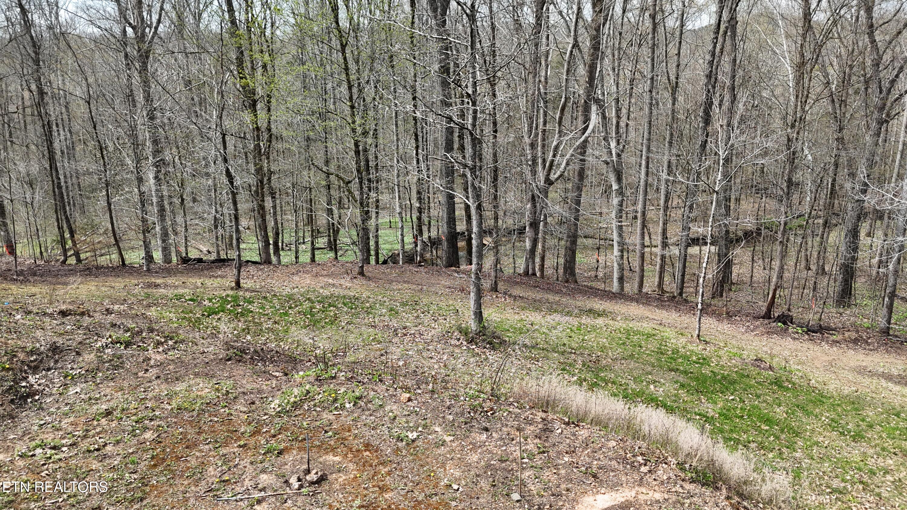 0 Geren Subdivision Lane Decatur, TN 37322 - Photo 16 of 24 dji_fly_20260325_133804_0249_17745556690