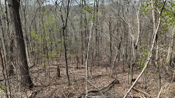 $130,000 | 0 Geren Subdivision Lane, Decatur, TN 37322