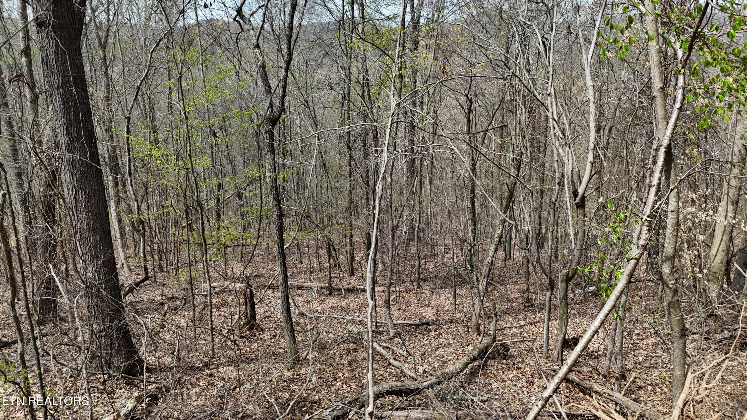 0 Geren Subdivision Lane Decatur, TN 37322 - Photo 18 of 24 dji_fly_20260325_134114_0262_17745556463