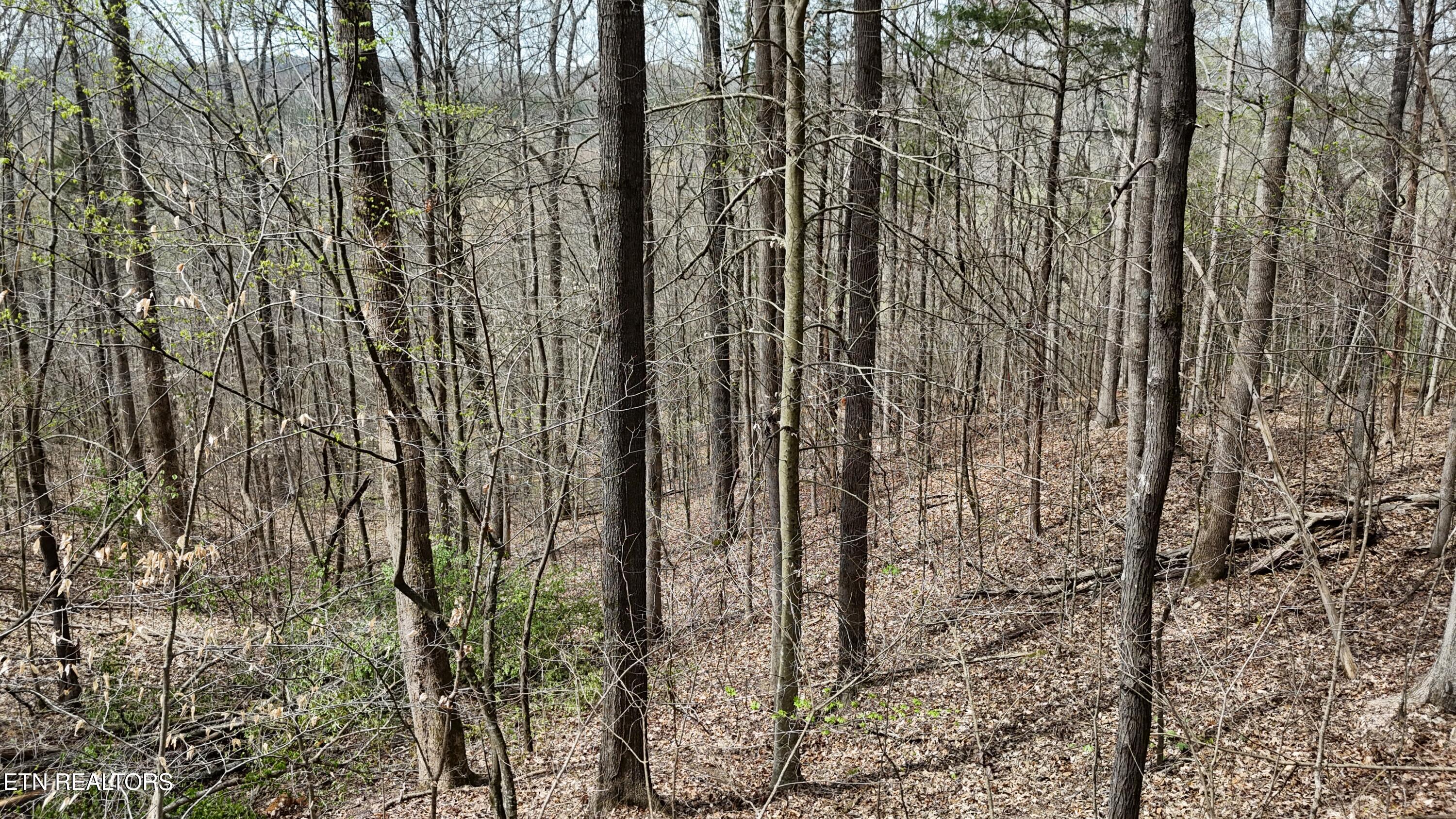 0 Geren Subdivision Lane Decatur, TN 37322 - Photo 19 of 24 dji_fly_20260325_134222_0269_17745556340