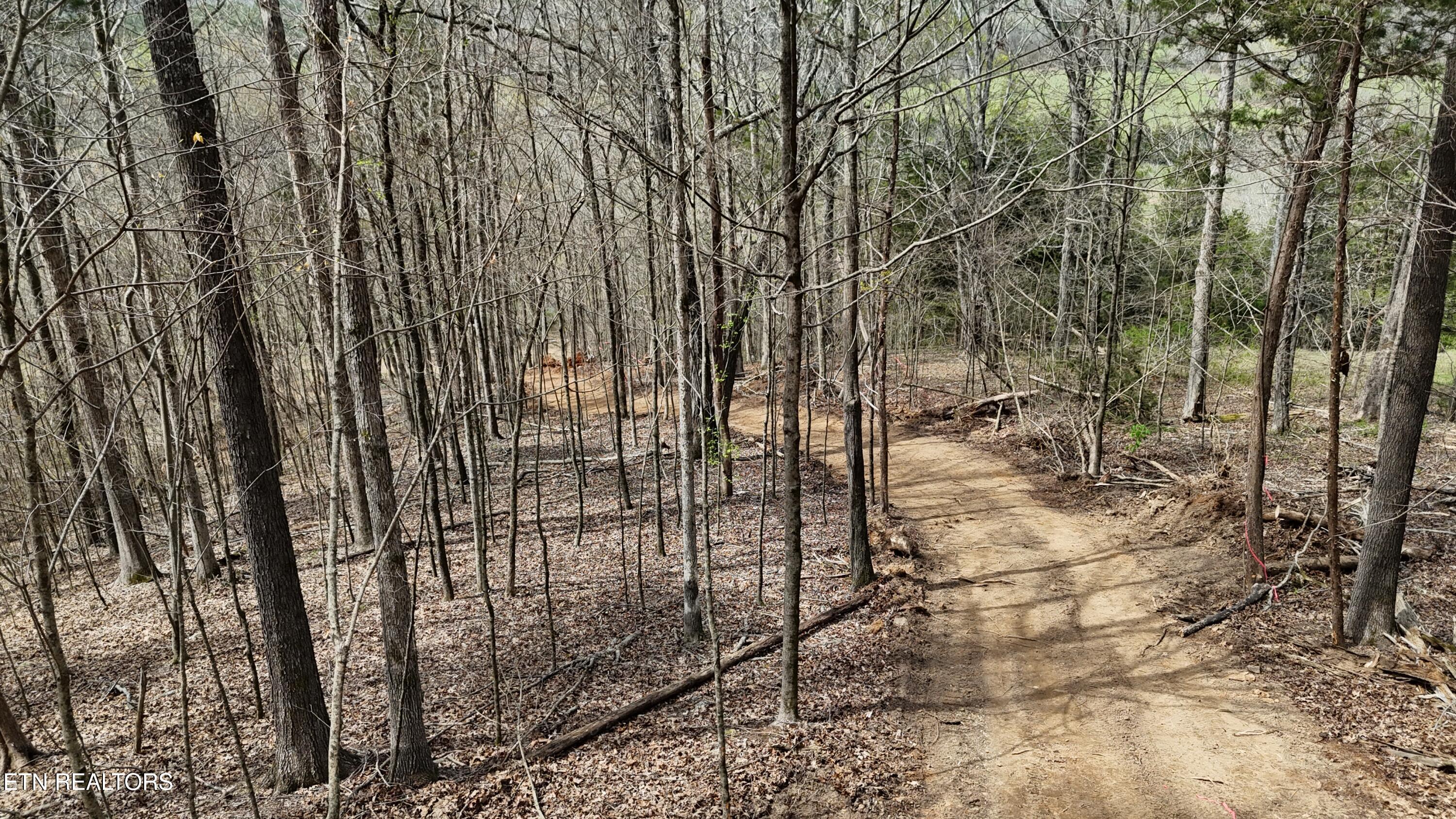 0 Geren Subdivision Lane Decatur, TN 37322 - Photo 2 of 24 dji_fly_20260325_134252_0271_17745556306